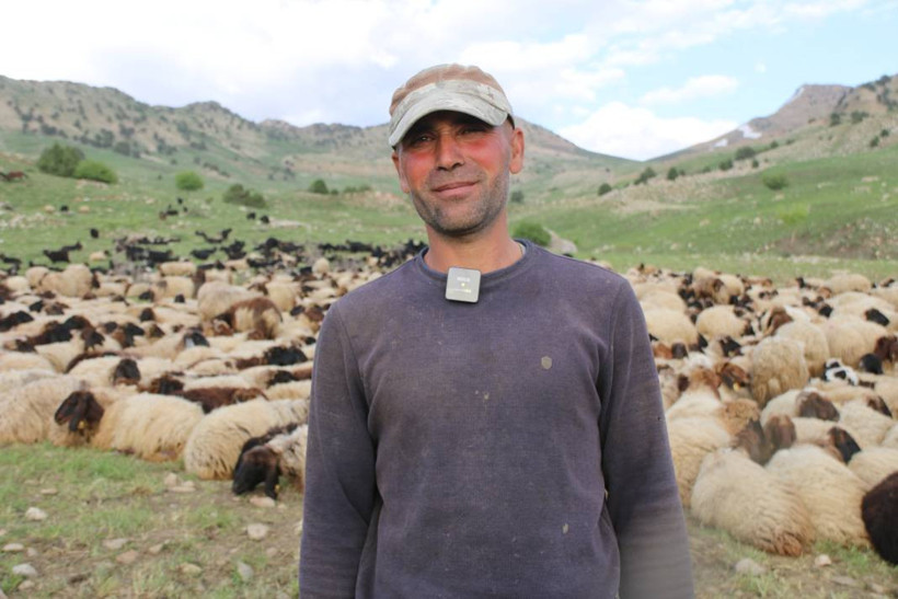 Serin yaylalara göç: Siirtli koçerlerin Herekol eteklerine doğru 'kolektif' yolculuğu - Resim: 4