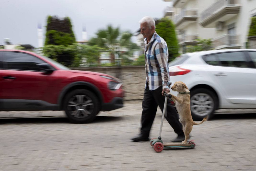 Köpeğini skuterle gezdirip salıncağa bindiriyor: 'Yedi torun var bir de bu sekiz oldu' - Resim: 5
