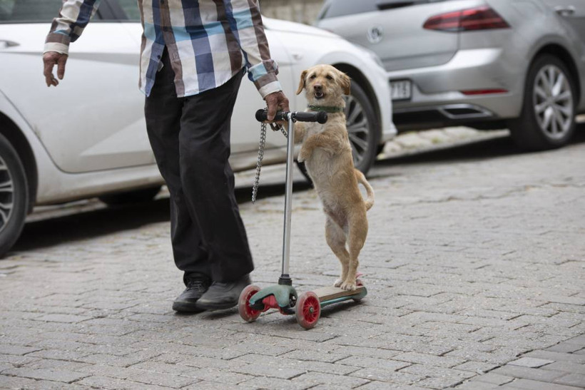 Köpeğini skuterle gezdirip salıncağa bindiriyor: 'Yedi torun var bir de bu sekiz oldu' - Resim: 4