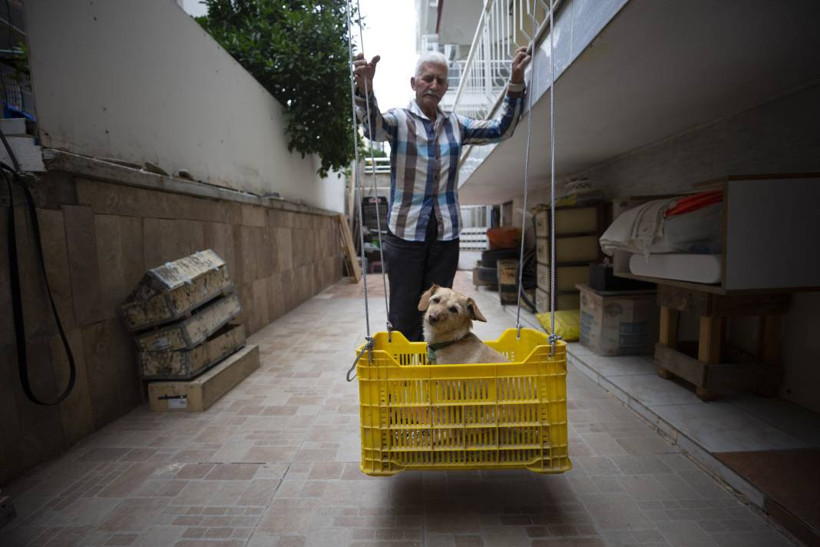Köpeğini skuterle gezdirip salıncağa bindiriyor: 'Yedi torun var bir de bu sekiz oldu' - Resim: 1