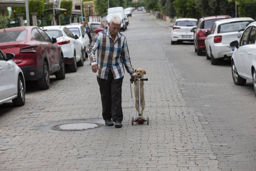 Köpeğini skuterle gezdirip salıncağa bindiriyor: 'Yedi torun var bir de bu sekiz oldu' - Resim: 14