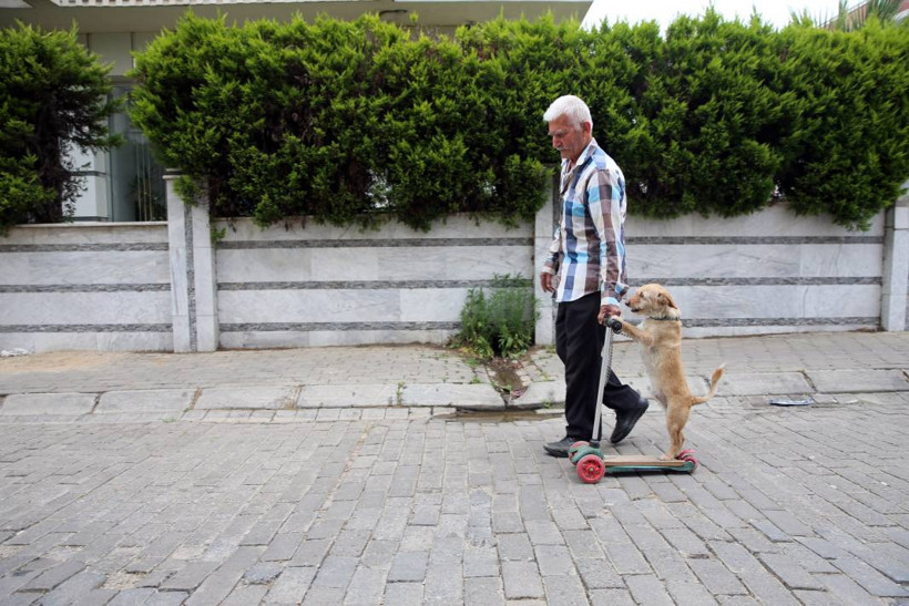 Köpeğini skuterle gezdirip salıncağa bindiriyor: 'Yedi torun var bir de bu sekiz oldu' - Resim: 13