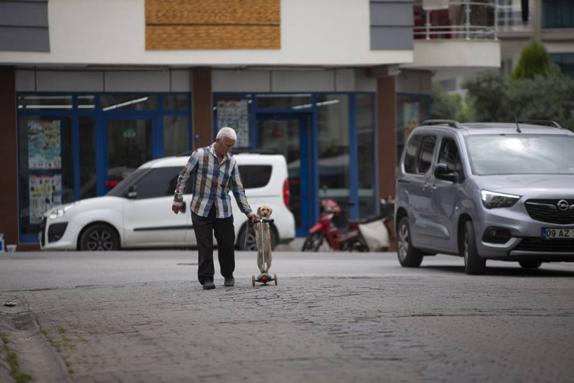 Köpeğini skuterle gezdirip salıncağa bindiriyor: 'Yedi torun var bir de bu sekiz oldu' - Resim: 12