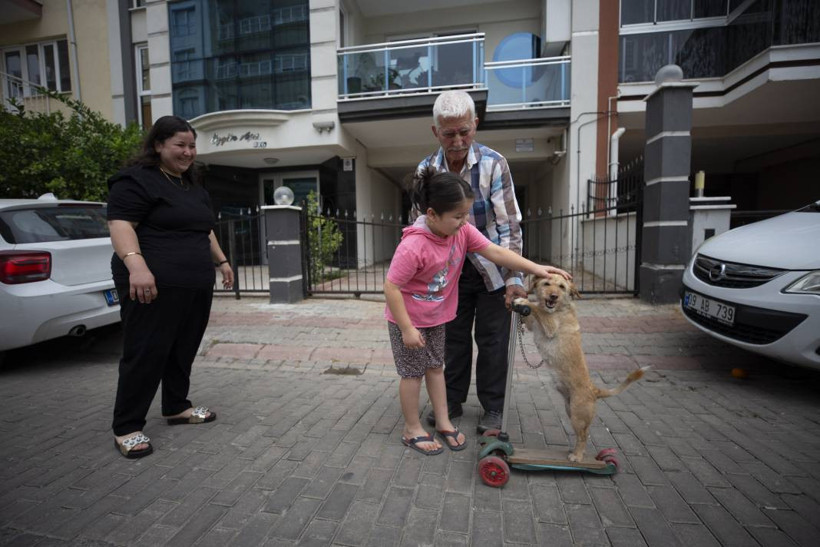Köpeğini skuterle gezdirip salıncağa bindiriyor: 'Yedi torun var bir de bu sekiz oldu' - Resim: 7