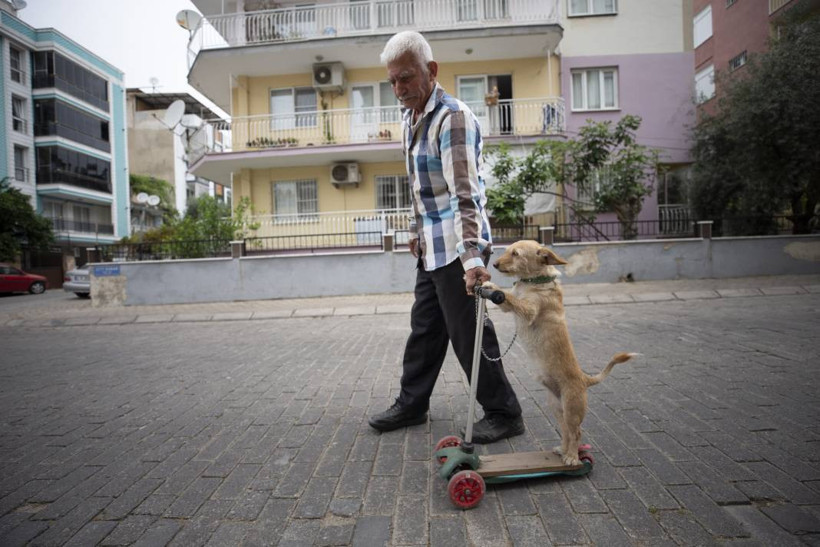 Köpeğini skuterle gezdirip salıncağa bindiriyor: 'Yedi torun var bir de bu sekiz oldu' - Resim: 10