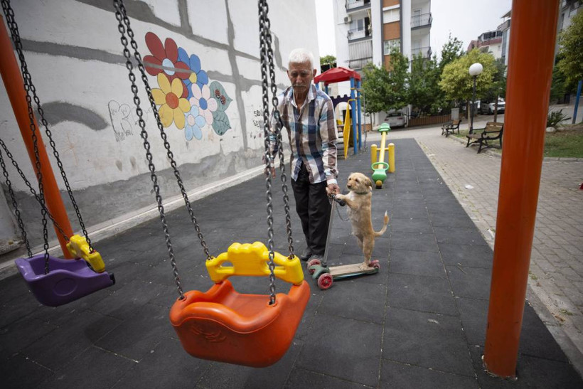 Köpeğini skuterle gezdirip salıncağa bindiriyor: 'Yedi torun var bir de bu sekiz oldu' - Resim: 3