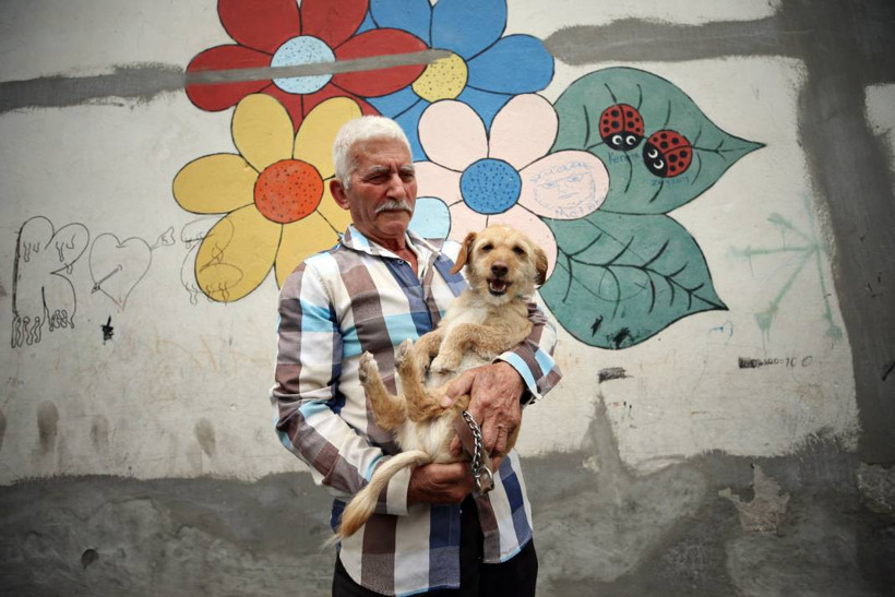 Köpeğini skuterle gezdirip salıncağa bindiriyor: 'Yedi torun var bir de bu sekiz oldu' - Resim: 9