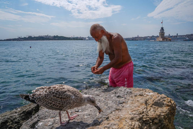 İstanbul'da sıcak hava ve nem bunalttı, sahillerde yoğunluk oluştu - Resim: 4