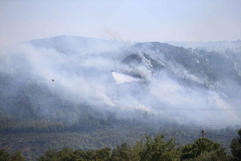Bodrum'daki orman yangını 18 saatte kontrol altına alındı, yanan alan havadan görüntülendi - Resim: 1