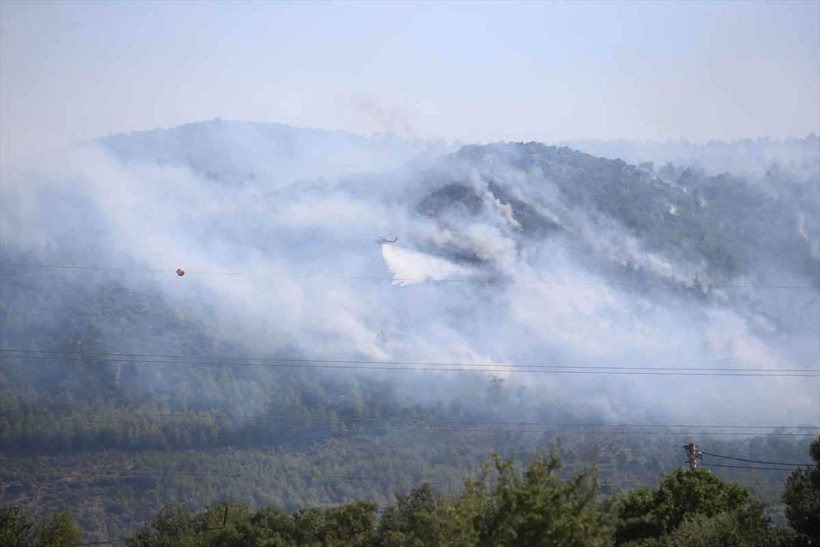 Bodrum'daki orman yangını 18 saatte kontrol altına alındı, yanan alan havadan görüntülendi - Resim: 5