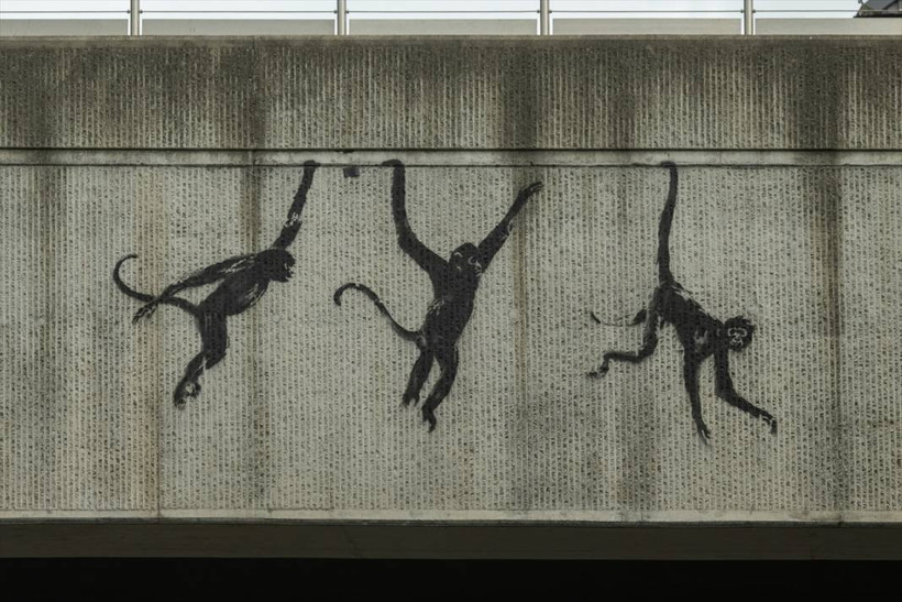 Keçi, fil, şimdi de 'üç maymun': Banksy'nin hayvan serisi ne anlama geliyor? - Resim: 5