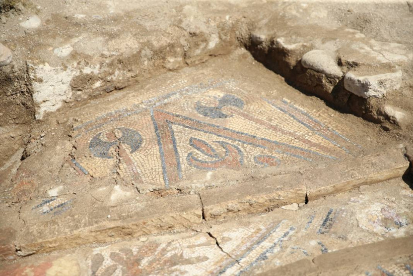 Ordu Fatsa'da, tarihi iki manastırda yapılan kazılarda in- situ mozaiğine ulaşıldı - Resim: 6