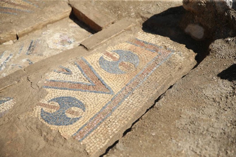 Ordu Fatsa'da, tarihi iki manastırda yapılan kazılarda in- situ mozaiğine ulaşıldı - Resim: 3
