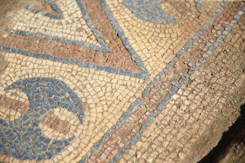 Ordu Fatsa'da, tarihi iki manastırda yapılan kazılarda in- situ mozaiğine ulaşıldı - Resim: 5