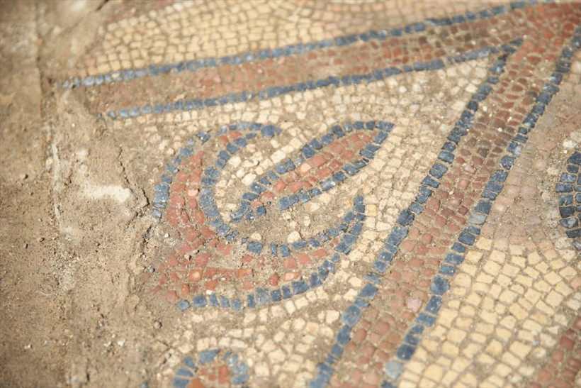 Ordu Fatsa'da, tarihi iki manastırda yapılan kazılarda in- situ mozaiğine ulaşıldı - Resim: 1