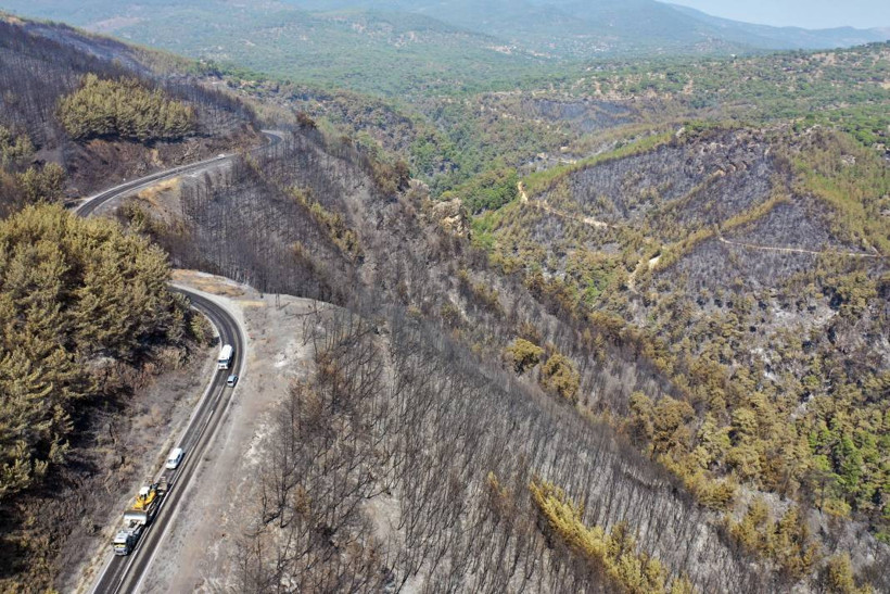 Ege'de yeşil alanlar yerini griye bıraktı: Yanan ormanlar havadan görüntülendi - Resim: 12