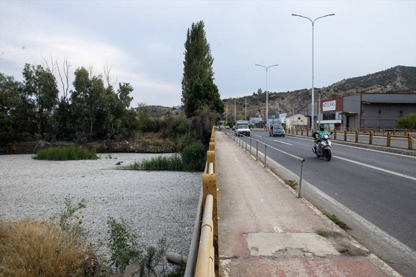 Yunanistan'ın Volos kentinde tonlarca ölü balık nedeniyle olağanüstü hal ilan edildi - Resim: 8