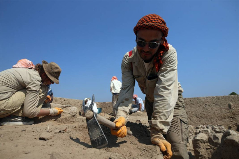 Aydın'daki Tepecik Höyüğü'nde 3 bin 500 yıllık midye kabukları bulundu - Resim: 2