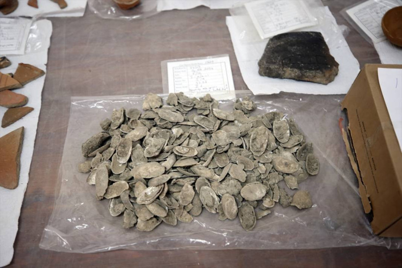 Aydın'daki Tepecik Höyüğü'nde 3 bin 500 yıllık midye kabukları bulundu - Resim: 5