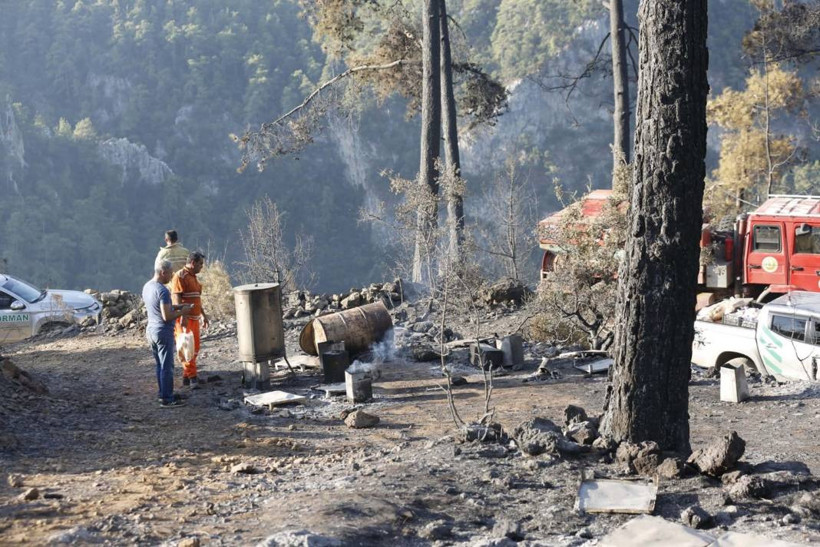 Muğla'daki orman yangınında tahrip olan yerler görüntülendi - Resim: 4