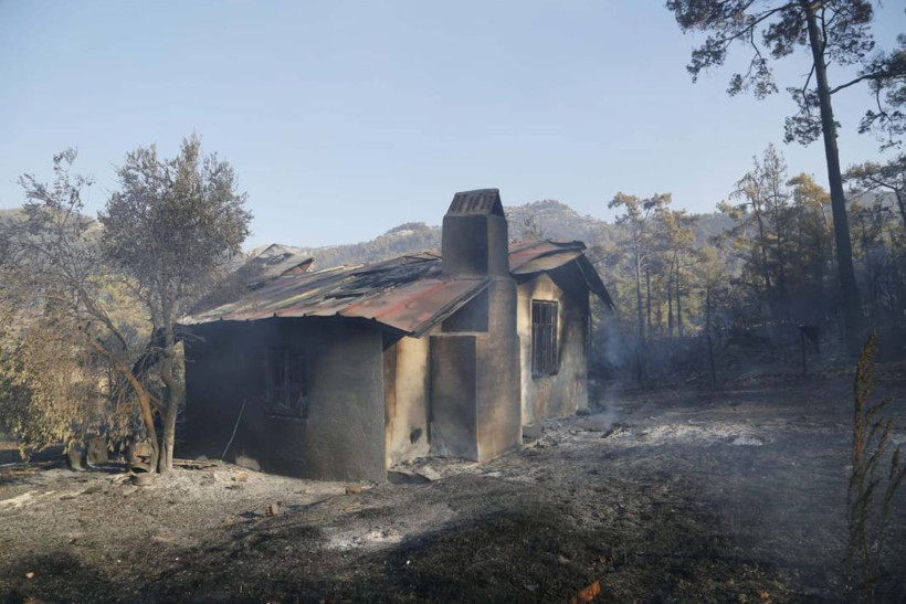 Muğla'daki orman yangınında tahrip olan yerler görüntülendi - Resim: 7