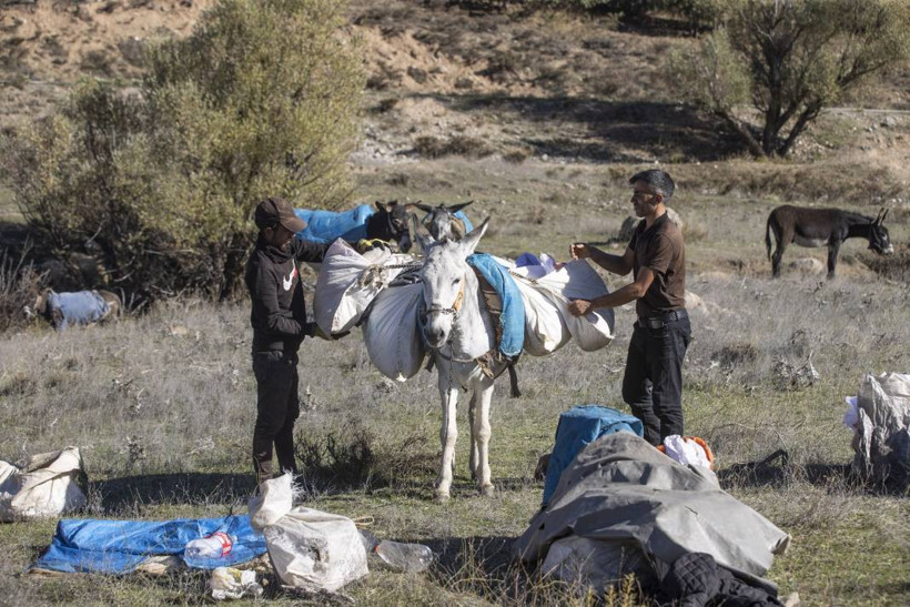 Dersim'de yayla sezonu bitti, koçerlerin zorlu dönüş yolculuğu başladı - Resim: 5