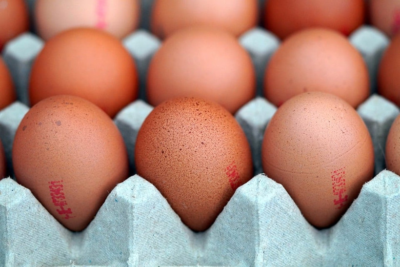 eggs-7570512-960-720.jpg
