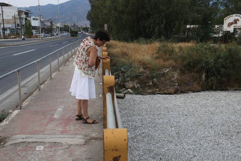 Yunanistan'ın Volos kentinde tonlarca ölü balık nedeniyle olağanüstü hal ilan edildi - Resim: 13