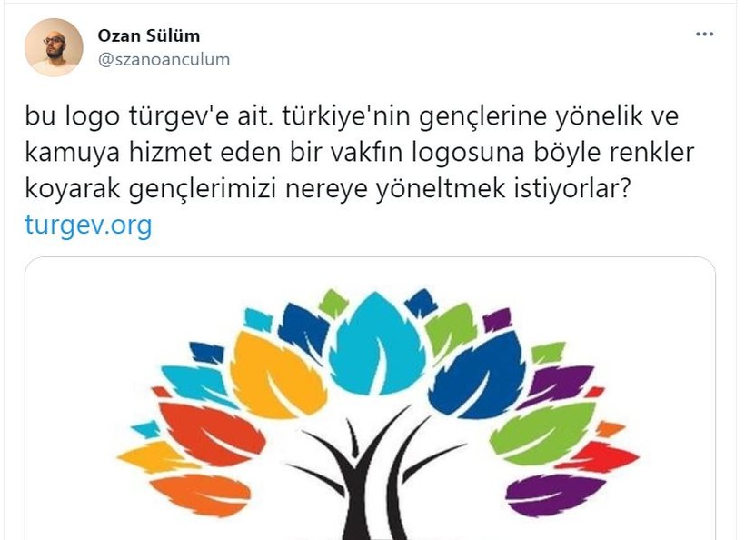 TÜRGEV, 'gökkuşağı ve HDP' eleştirileri nedeniyle mevcut logosunu kullanmayı bıraktı - Resim : 2