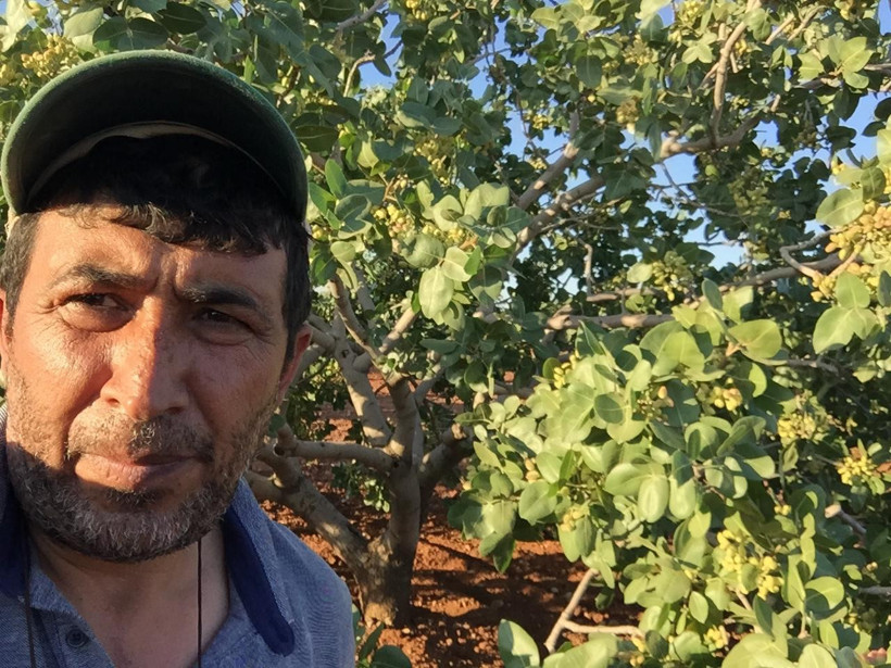 Antep fıstığı ithalatına tepki: 'Üretici büyük mağduriyet yaşar' - Resim : 2