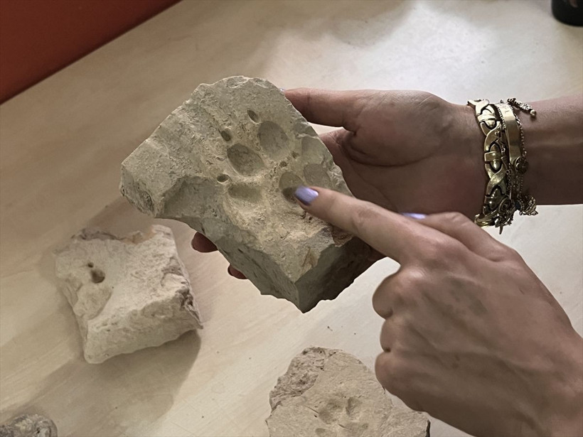 Herakleia Antik Kenti'ndeki kazılardan çıkarılan eserlerde pati izlerine rastlandı - Resim: 6