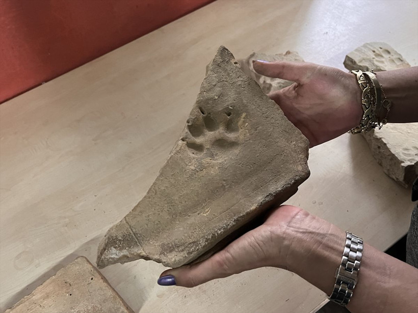 Herakleia Antik Kenti'ndeki kazılardan çıkarılan eserlerde pati izlerine rastlandı - Resim: 7