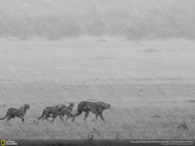 2016 National Geographic Travel Photographer of the Year - Resim: 23