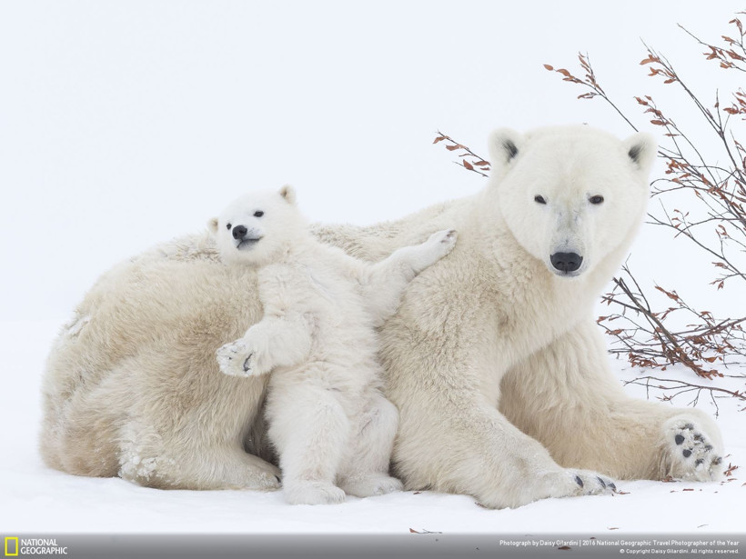 2016 National Geographic Travel Photographer of the Year - Resim: 21