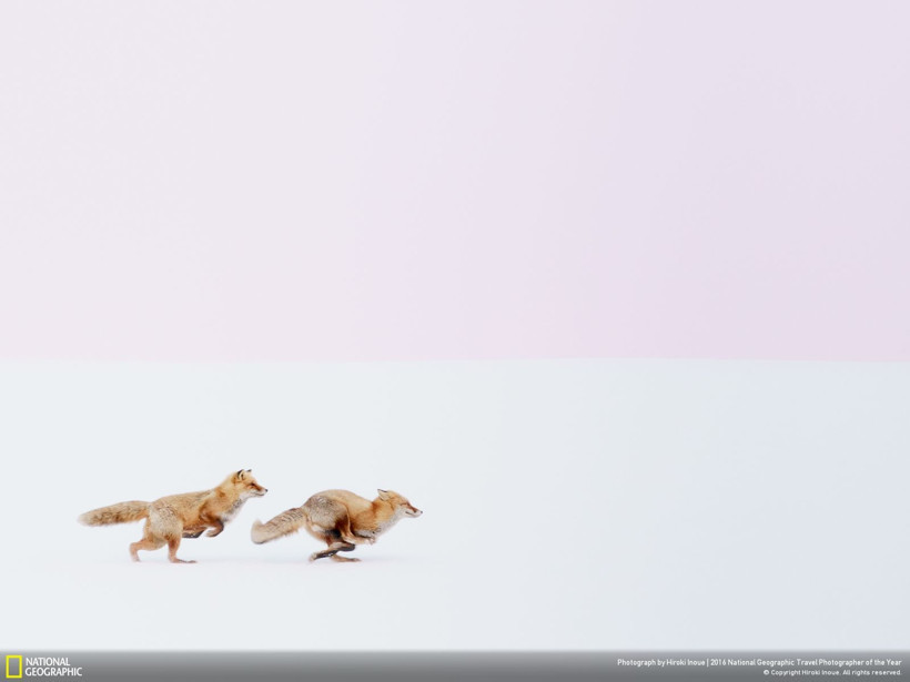 2016 National Geographic Travel Photographer of the Year - Resim: 17