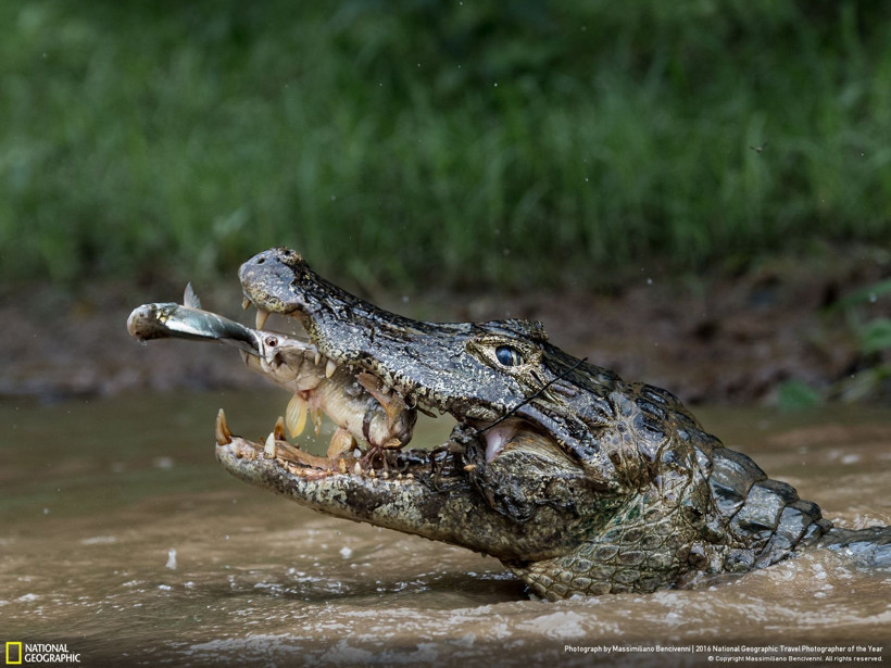 2016 National Geographic Travel Photographer of the Year - Resim: 12