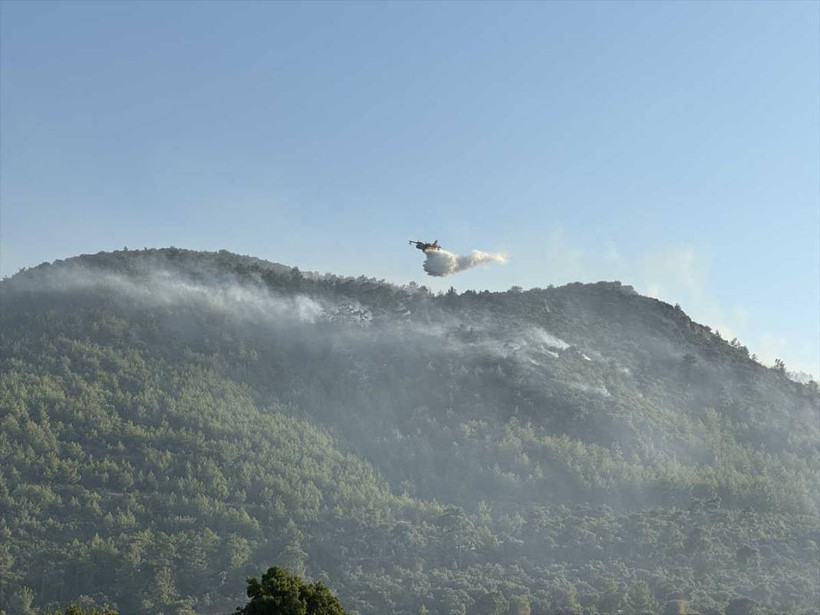 Bodrum'daki orman yangını 18 saatte kontrol altına alındı, yanan alan havadan görüntülendi - Resim: 4