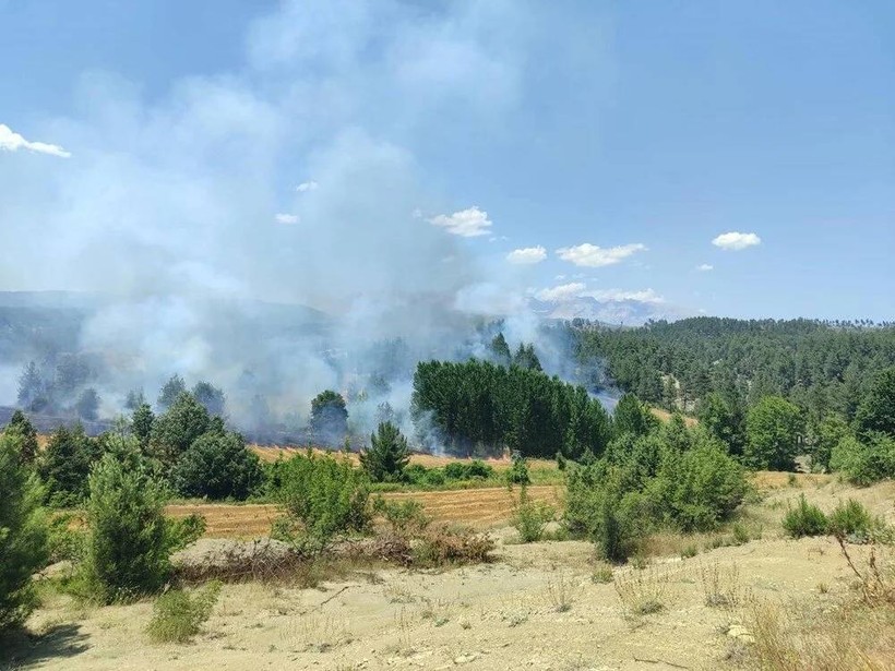 SON DURUM: Hava sıcaklığı zirve yaptı, 4 ilde daha orman yangını çıktı - Resim: 3