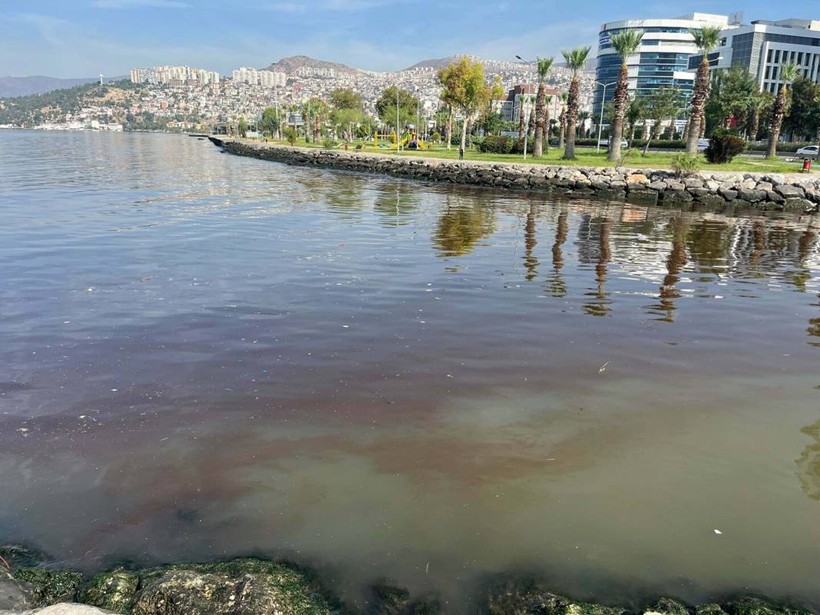 İzmir Körfezi kırmızı renge büründü: 'Havalar soğuyunca kaybolacak' - Resim: 7