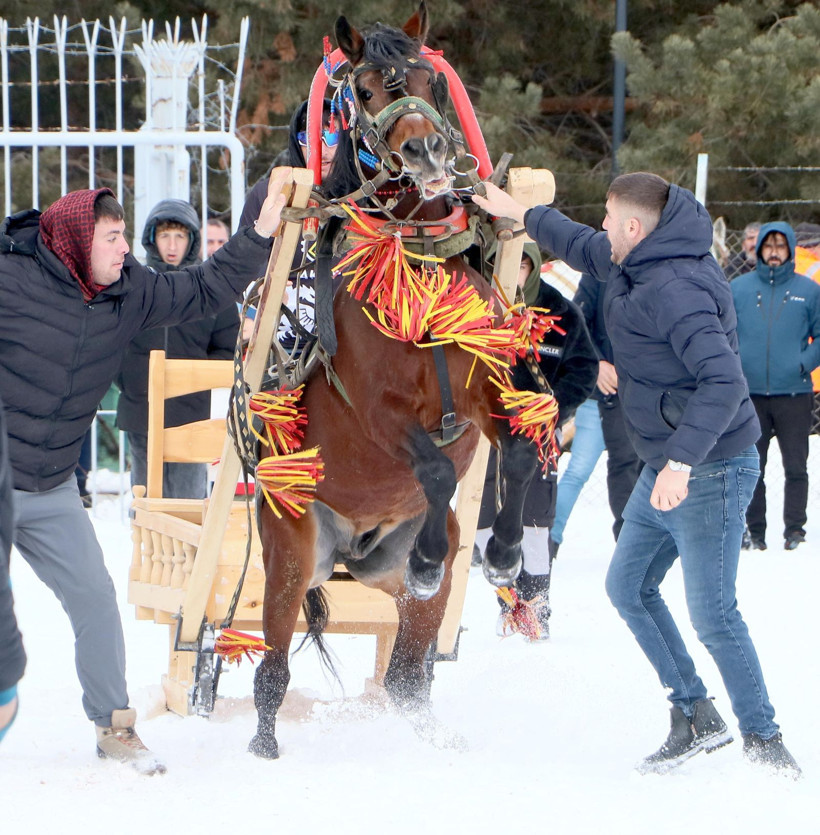 Erzurum'da atlı kızak şampiyonası - Resim: 6
