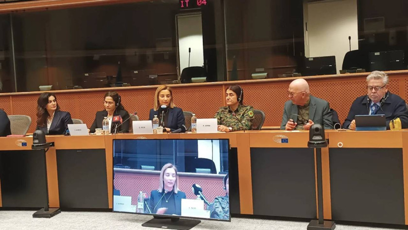 İlham Ahmed'den AP'ye öneri: Sahada komisyon kurulsun