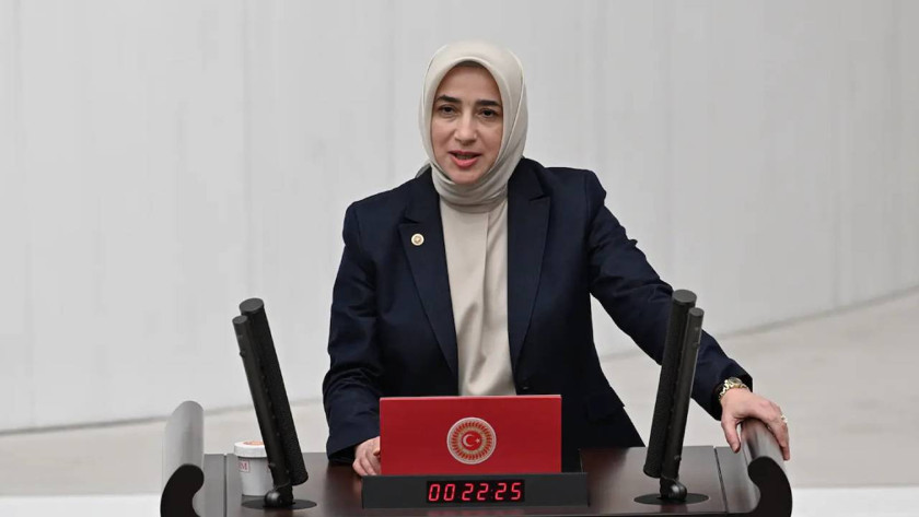 Gülistan Doku soruşturması... AKP'li Zengin: 'Adalet Bakanı ile görüştüm, önemli deliller var'