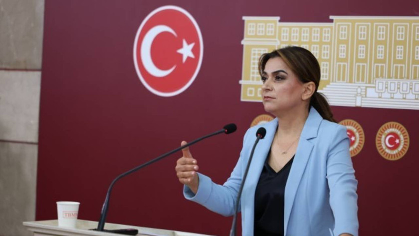DEM Parti’den iktidara çağrı: 'Çerçeve yasa Meclis kapanmadan çıkarılmalı'
