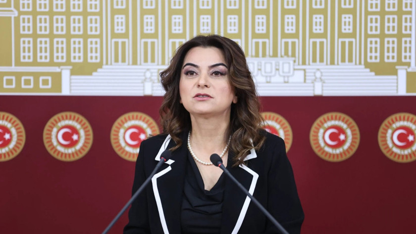 Gülistan Kılıç Koçyiğit: Çerçeve yasa bir an önce Meclis'ten geçmeli
