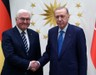 Erdoğan, Almanya Cumhurbaşkanı Steinmeier ile görüştü