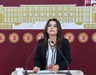 DEM Partililer Reuters'e konuştu: Yasal çerçeve oluşturulmalı