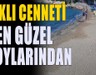 Seferihisar'ın Parlayan İncisi: Bu Plaj, İzmir'in En Gözde Koylarından Biri Oldu!