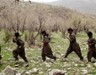 PJAK Eş Genel Başkanı Kerimi: İran-İsrail savaşının tarafı değiliz, Türkiye'deki süreci destekliyoruz