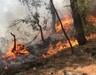 Antalya'da iki bölgede orman yangını