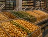 Şirketler Patır Patır Batıyor: Sıra Kuruyemiş Devinde